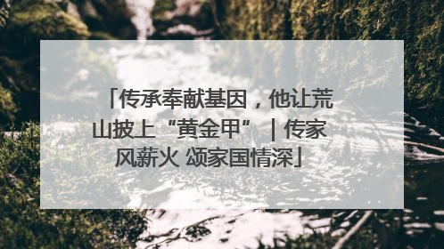 传承奉献基因，他让荒山披上“黄金甲”｜传家风薪火 颂家国情深