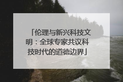 伦理与新兴科技文明：全球专家共议科技时代的道德边界