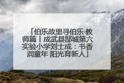 伯乐故里寻伯乐·教师篇丨成武县郜城第六实验小学刘士成：书香润童年 阳光育新人