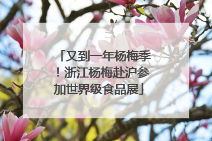 又到一年杨梅季！浙江杨梅赴沪参加世界级食品展