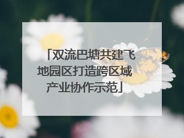 双流巴塘共建飞地园区打造跨区域产业协作示范