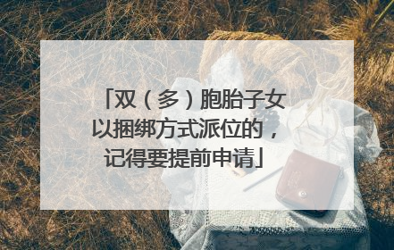 双（多）胞胎子女以捆绑方式派位的，记得要提前申请