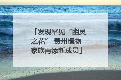 发现罕见“幽灵之花” 贵州植物家族再添新成员