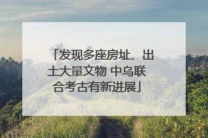 发现多座房址、出土大量文物 中乌联合考古有新进展