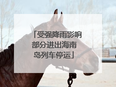 受强降雨影响 部分进出海南岛列车停运