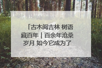 古木阅吉林 树语藏百年｜百余年沧桑岁月 如今它成为了“镇园之宝”