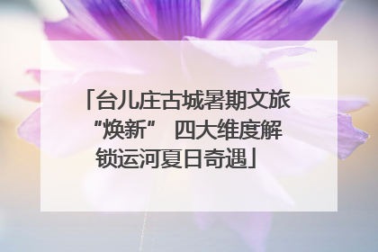 台儿庄古城暑期文旅“焕新” 四大维度解锁运河夏日奇遇