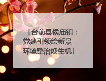 台前县侯庙镇：党建引领绘新景 环境整治焕生机
