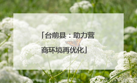 台前县：助力营商环境再优化