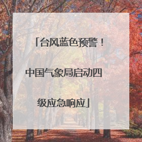 台风蓝色预警！中国气象局启动四级应急响应