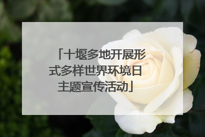 十堰多地开展形式多样世界环境日主题宣传活动