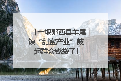 十堰郧西县羊尾镇“甜蜜产业”鼓起群众钱袋子