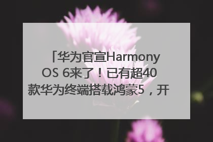 华为官宣HarmonyOS 6来了！已有超40款华为终端搭载鸿蒙5，开发者突破800万