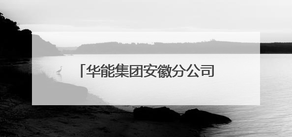 华能集团安徽分公司党委书记马冰武履新华电集团副总经理