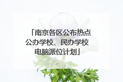 南京各区公布热点公办学校、民办学校电脑派位计划