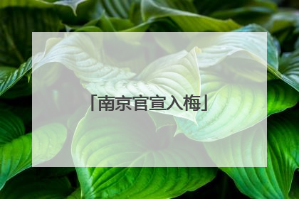 南京官宣入梅