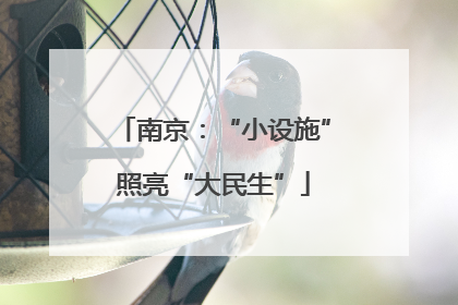南京：“小设施”照亮“大民生”