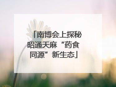 南博会上探秘昭通天麻“药食同源”新生态