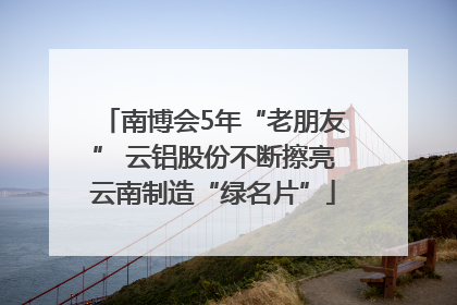南博会5年“老朋友” 云铝股份不断擦亮云南制造“绿名片”