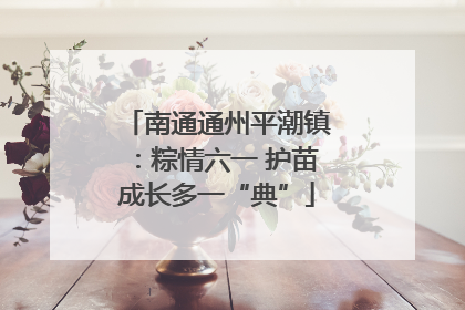 南通通州平潮镇：粽情六一 护苗成长多一“典”