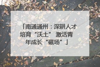 南通通州：深耕人才培育“沃土” 激活青年成长“磁场”
