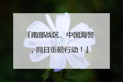 南部战区、中国海警，同日重磅行动！