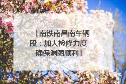 南铁南昌南车辆段：加大检修力度确保调图顺利