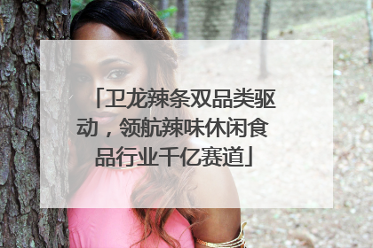 卫龙辣条双品类驱动，领航辣味休闲食品行业千亿赛道