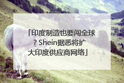 印度制造也要闯全球？Shein据悉将扩大印度供应商网络