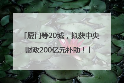 厦门等20城，拟获中央财政200亿元补助！