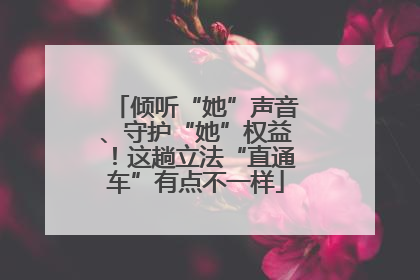 倾听“她”声音、守护“她”权益！这趟立法“直通车”有点不一样