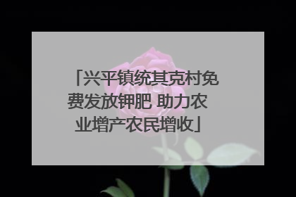 兴平镇统其克村免费发放钾肥 助力农业增产农民增收