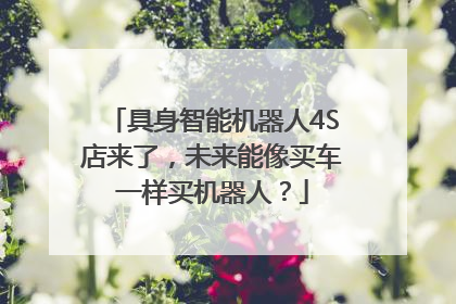 具身智能机器人4S店来了，未来能像买车一样买机器人？