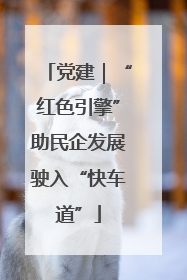 党建｜“红色引擎”助民企发展驶入“快车道”