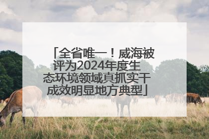 全省唯一！威海被评为2024年度生态环境领域真抓实干成效明显地方典型