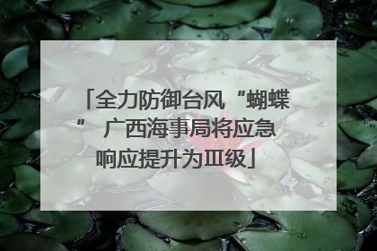 全力防御台风“蝴蝶” 广西海事局将应急响应提升为Ⅲ级