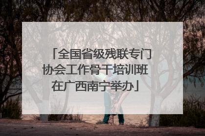 全国省级残联专门协会工作骨干培训班在广西南宁举办