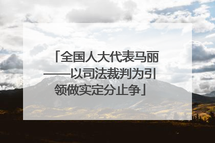 全国人大代表马丽——以司法裁判为引领做实定分止争