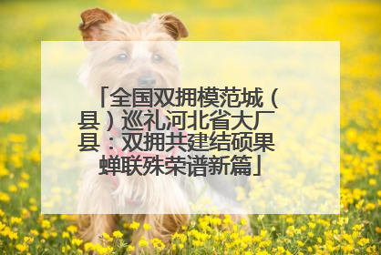 全国双拥模范城（县）巡礼河北省大厂县：双拥共建结硕果 蝉联殊荣谱新篇