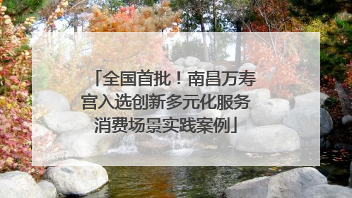 全国首批！南昌万寿宫入选创新多元化服务消费场景实践案例