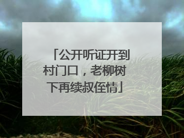 公开听证开到村门口，老柳树下再续叔侄情