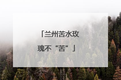 兰州苦水玫瑰不“苦”