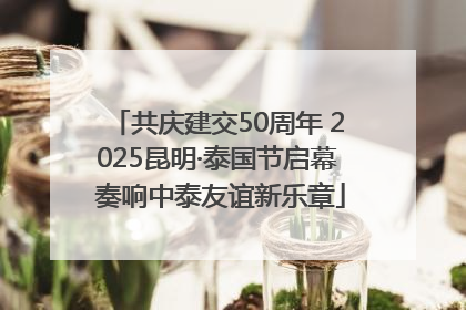 共庆建交50周年 2025昆明·泰国节启幕 奏响中泰友谊新乐章