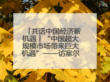共话中国经济新机遇丨“中国超大规模市场带来巨大机遇”——访塞尔维亚经济部国务秘书尼科利奇