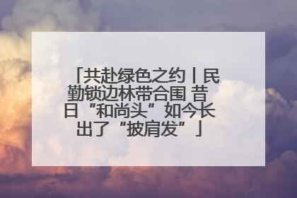 共赴绿色之约丨民勤锁边林带合围 昔日“和尚头”如今长出了“披肩发”