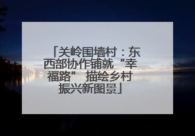关岭围墙村：东西部协作铺就“幸福路” 描绘乡村振兴新图景