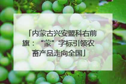 内蒙古兴安盟科右前旗：“蒙”字标引领农畜产品走向全国