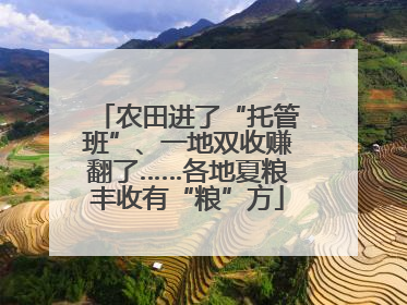 农田进了“托管班”、一地双收赚翻了……各地夏粮丰收有“粮”方