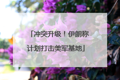 冲突升级！伊朗称计划打击美军基地