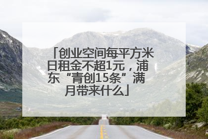 创业空间每平方米日租金不超1元，浦东“青创15条”满月带来什么